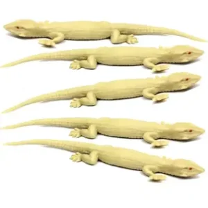 Toys Fake Lizard